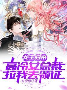 龙王归来叶寒