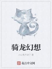 龙骑 t